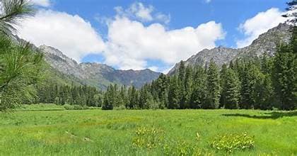 Trinity Alps meadow